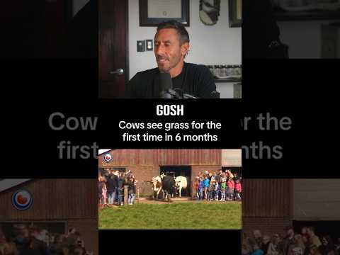 They look so happy…